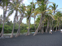 Black Sand Beach