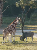 Today's view from our room