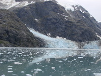 An active Glacier with discarded ice as icebers in the water