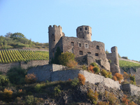 One of the many castles to be seen on the Rhine river cruise