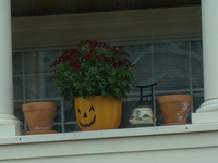 Typical Salem pot plant holder!