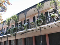 Iron Balconies in the French Quarter
