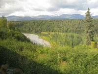 Scenery from the Train