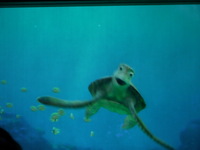 the dude of the sea.. Crush