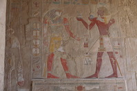 Hatshepsut long lasting colourings
