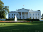 White House (The)
